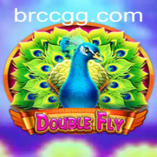 Exploring the Thrilling World of DoubleFly: Your Ultimate Guide